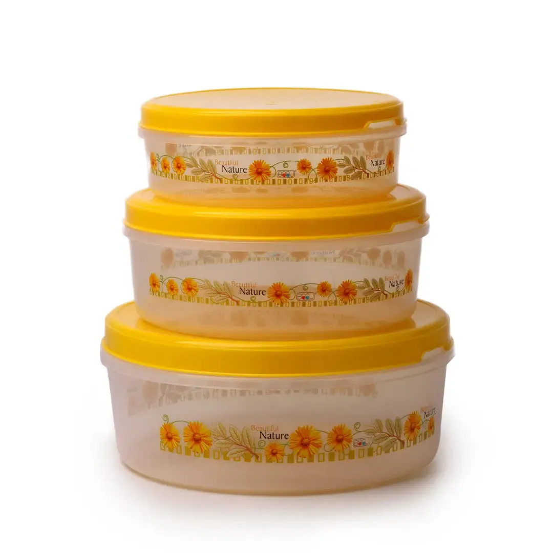 Saaj Food Storage Containers: Stay Organized in Style (1600,2600,4500ml)